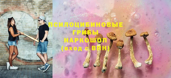 дживик Аша