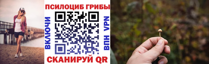 Галлюциногенные грибы мицелий  Слюдянка 